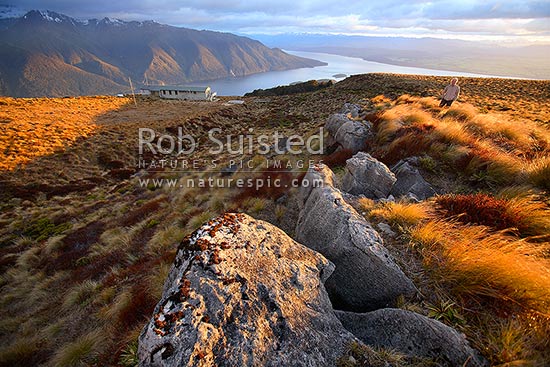 Tramper / Hiker at sunrise on Luxmore Hut, first hut on Kepler Track Great Walk. Lake Te Anau and Murchison Mountains beyond. Dawn, Fiordland National Park, Southland District, Southland Region, New Zealand (NZ)