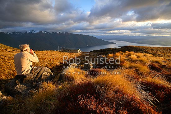 Tramper / Hiker photographing sunrise on Luxmore Hut, first hut on Kepler Track Great Walk. Lake Te Anau beyond, Fiordland National Park, Southland District, Southland Region, New Zealand (NZ)