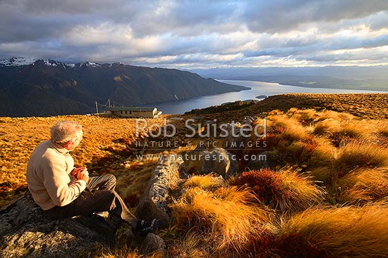 Tramper / Hiker at sunrise on Luxmore Hut, first hut on Kepler Track Great Walk. Lake Te Anau and Murchison Mountains beyond. Dawn, Fiordland National Park, Southland District, Southland Region, New Zealand (NZ)