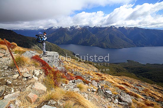 Tramper / Hiker on Kepler Track Great Walk. South Fiord of Lake Te Anau and Murchison Mountains beyond, Fiordland National Park, Southland District, Southland Region, New Zealand (NZ)