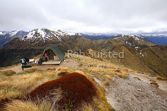 Trampers / Hikers at the Hanging Valley Shelter on Kepler Track Great Walk, before descending down the Iris Burn Hut, Fiordland National Park, Southland District, Southland Region, New Zealand (NZ)