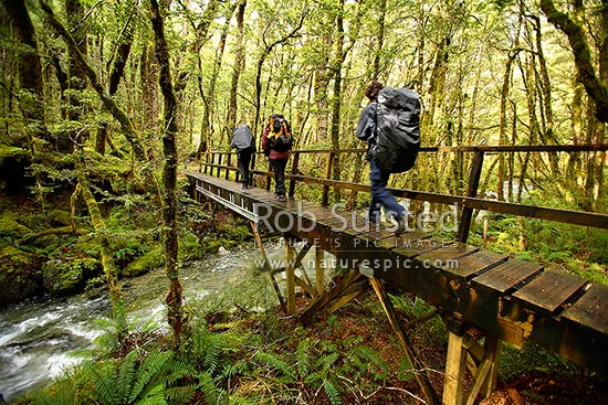 Trampers / hikers on a footbridge on the Kepler Track Great Walk, in the Iris Burn River valley, near Iris Burn Hut, Fiordland National Park, Southland District, Southland Region, New Zealand (NZ)