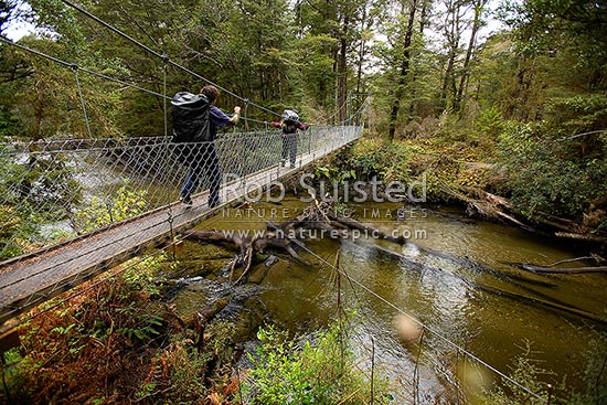 Trampers / hikers on the Kepler Track Great Walk, crossing a swingbridge over Forest Burn, near Moturau Hut, Fiordland National Park, Southland District, Southland Region, New Zealand (NZ)