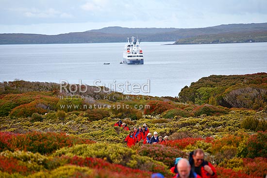 Tourists visiting Endery Island, above Port Ross and tourist ship mv Orion. World Heritage Site, Enderby Island, Auckland Islands, NZ Sub Antarctic District, NZ Sub Antarctic Region, New Zealand (NZ)