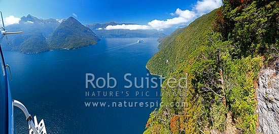 Aerial view from helicopter of cruise ship travelling down Thompson Sound towards Doubtful Sound. Secretary Island right, with Southern Rata in flower, Thompson Sound, Fiordland National Park, Southland District, Southland Region, New Zealand (NZ)