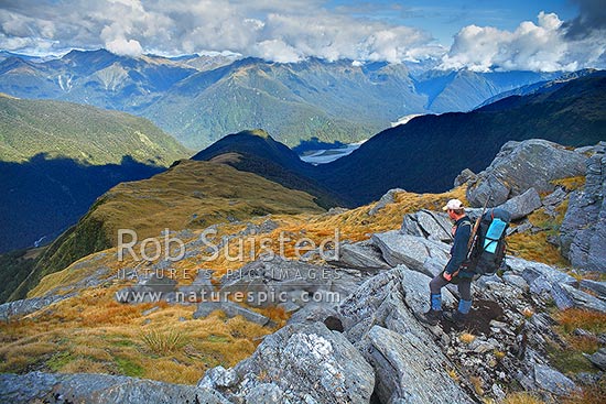 Looking across the Haast River valley from the Thomas Range. Tramper / hunter looking down Midnight ridge from near Mount Swindle (1588m). The Roaring Billy Valley left, Haast, Westland District, West Coast Region, New Zealand (NZ)