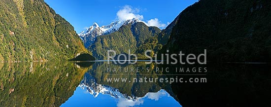 Doubtful Sound, Hall Arm winter reflections. Snow covered Mount Danae (1495m) centre. Fiordland National Park. Panorama, Doubtful Sound, Fiordland National Park, Southland District, Southland Region, New Zealand (NZ)