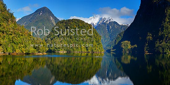 Doubtful Sound on a perfect winters day. Looking up Hall Arm past Davidson Head to Mt Danae, Doubtful Sound, Fiordland National Park, Southland District, Southland Region, New Zealand (NZ)