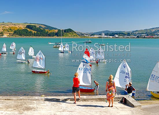 Titahi Bay Boating club optimist class boat racing regatta for young people on Porirua Harbour, with city beyond. Parents looking on, Titahi Bay, Porirua City District, Wellington Region, New Zealand (NZ)