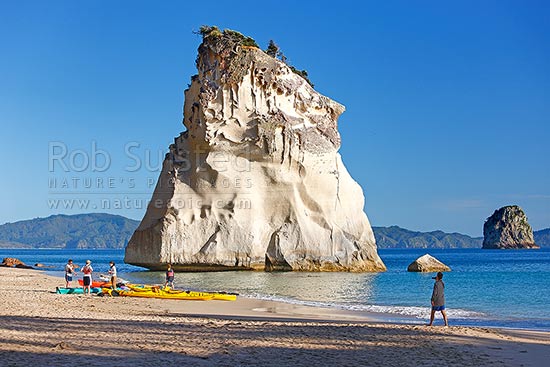 Cathedral Cove with sea kayakers kayaking in the early morning, Hahei, Coromandel Peninsula, Thames-Coromandel District, Waikato Region, New Zealand (NZ)