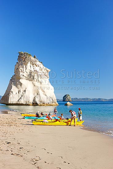 Cathedral Cove with sea kayakers kayaking in the early morning, Hahei, Coromandel Peninsula, Thames-Coromandel District, Waikato Region, New Zealand (NZ)