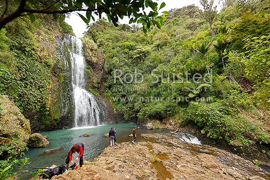 Trampers and daywalkers at Kitekite waterfall (Kitakita) on Glen Esk stream and the Hillary Trail track near Piha Beach. Waitakere Ranges Regional Park, Waitakere Ranges, Auckland, Waitakere City District, Auckland Region, New Zealand (NZ)