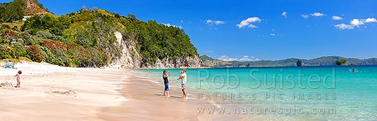 Hahei Beach with a family enjoying the sunny summers day. Pohutukawa trees flowering and an azure blue sea. Panorama, Hahei, Coromandel Peninsula, Thames-Coromandel District, Waikato Region, New Zealand (NZ)