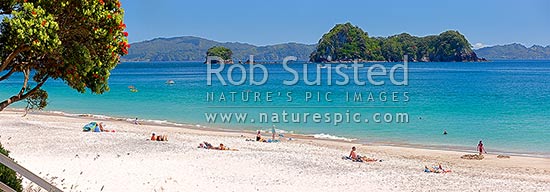 Hahei Beach. Families, sunbathers, kayakers, boaties and swimmers enjoying the summers day. Pohutukawa trees flowering with Mahurangi (Goat) Island beyond. Panorama, Hahei, Coromandel Peninsula, Thames-Coromandel District, Waikato Region, New Zealand (NZ)