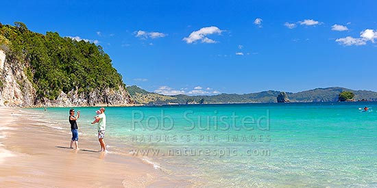 Hahei Beach with a family enjoying and photographing the sunny summers day. Pohutukawa trees flowering and an azure blue sea. Panorama, Hahei, Coromandel Peninsula, Thames-Coromandel District, Waikato Region, New Zealand (NZ)