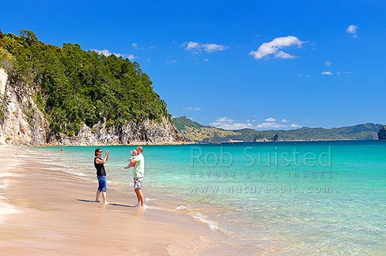 Hahei Beach with a family enjoying and photographing the sunny summers day. Pohutukawa trees flowering and an azure blue sea, Hahei, Coromandel Peninsula, Thames-Coromandel District, Waikato Region, New Zealand (NZ)