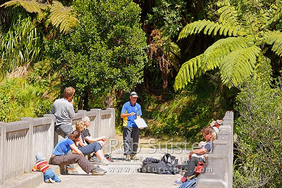 Joe Adams interpreting history to visitors at the Bridge to Nowhere Mangapurua, owner of Bridge to Nowhere Tours, Whanganui National Park, Wanganui District, Manawatu-Wanganui Region, New Zealand (NZ)