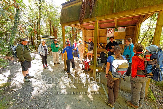 Bridge to Nowhere guided walkers assembling at shelter to walk the track with Bridge to Nowhere Tours, Whanganui National Park, Wanganui District, Manawatu-Wanganui Region, New Zealand (NZ)