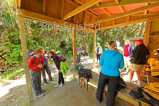 Bridge to Nowhere guided walkers assembling at shelter to walk the track with Bridge to Nowhere Tours, Whanganui National Park, Wanganui District, Manawatu-Wanganui Region, New Zealand (NZ)