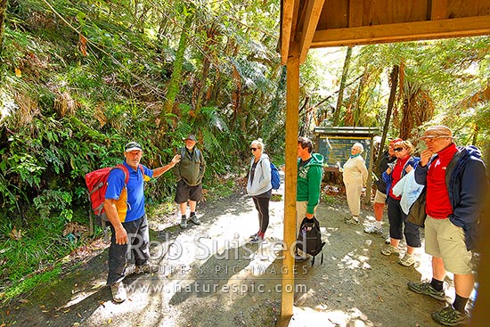 Bridge to Nowhere guided walkers assembling at shelter to walk the track with Bridge to Nowhere Tours, Whanganui National Park, Wanganui District, Manawatu-Wanganui Region, New Zealand (NZ)