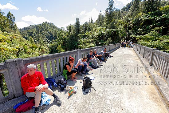 The Bridge to Nowhere, with guided walk visitors enjoying lunch at the bridge on the Mangapurua walkway, Whanganui National Park, Wanganui District, Manawatu-Wanganui Region, New Zealand (NZ)