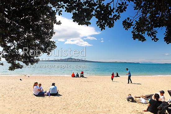 Mission Bay Beach with families, children and friends enjoying the spring sun. Looking towards Rangitoto Island through Pohutukawa trees, Mission Bay Beach, Auckland City District, Auckland Region, New Zealand (NZ)