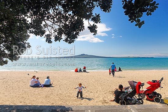 Mission Bay Beach with families, children and friends enjoying the spring sun. Looking towards Rangitoto Island through Pohutukawa trees, Mission Bay Beach, Auckland City District, Auckland Region, New Zealand (NZ)