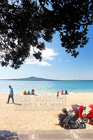 Mission Bay Beach with families, children and friends enjoying the spring sun. Looking towards Rangitoto Island through Pohutukawa trees, Mission Bay Beach, Auckland City District, Auckland Region, New Zealand (NZ)