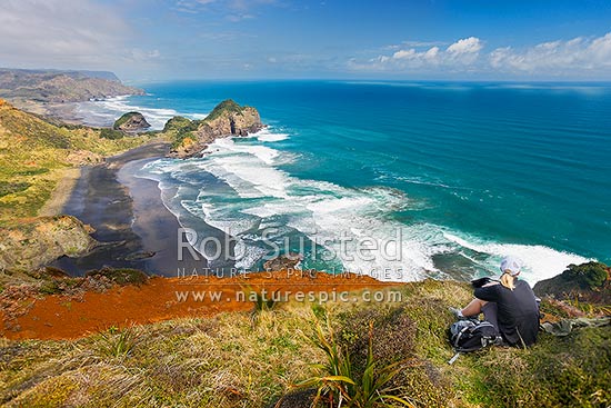 O'Neill's Bay Beach from the Hillary Trail Te Henga walkway with walker on track looking down on Erangi Point (centre). Pukekowhai Point and Whatipu distant, Bethells Beach, West Auckland, Waitakere City District, Auckland Region, New Zealand (NZ)