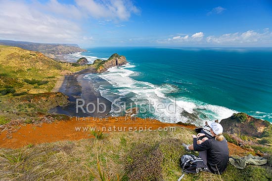 O'Neill's Bay Beach from the Hillary Trail Te Henga walkway with walker on track looking down on Erangi Point (centre). Pukekowhai Point and Whatipu distant, Bethells Beach, West Auckland, Waitakere City District, Auckland Region, New Zealand (NZ)