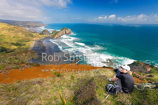 O'Neill's Bay Beach from the Hillary Trail Te Henga walkway with walker on track looking down on Erangi Point (centre). Pukekowhai Point and Whatipu distant, Bethells Beach, West Auckland, Waitakere City District, Auckland Region, New Zealand (NZ)