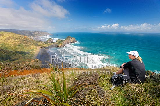 O'Neill's Bay Beach from the Hillary Trail Te Henga walkway with walker on track looking down on Erangi Point (centre). Pukekowhai Point and Whatipu distant, Bethells Beach, West Auckland, Waitakere City District, Auckland Region, New Zealand (NZ)