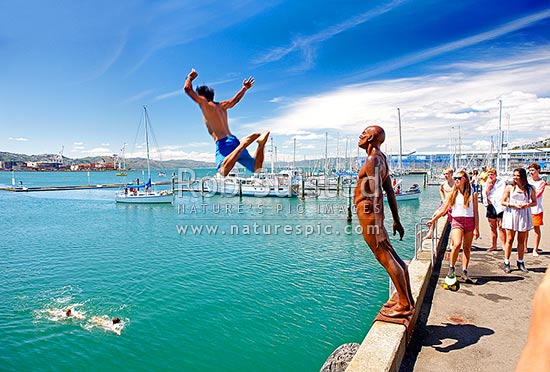 Wellington City waterfront, swimmers and divers enjoying the summer day near Chaffers Marina. Sculpture Solace in the Wind by Max Pattie, Wellington, Wellington City District, Wellington Region, New Zealand (NZ)