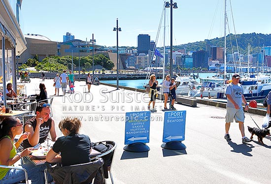 Wellington City waterfront with café diners enjoying meals near Chaffers Marina on a summer day. City skyline and te Papa Museum behind, Wellington, Wellington City District, Wellington Region, New Zealand (NZ)