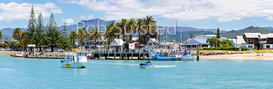 Whitianga town with the ferry crossing the Harbour entrance, with fishing boats alongside wharf on the Esplanade. Panorama, Whitianga, Coromandel Peninsula, Thames-Coromandel District, Waikato Region, New Zealand (NZ)