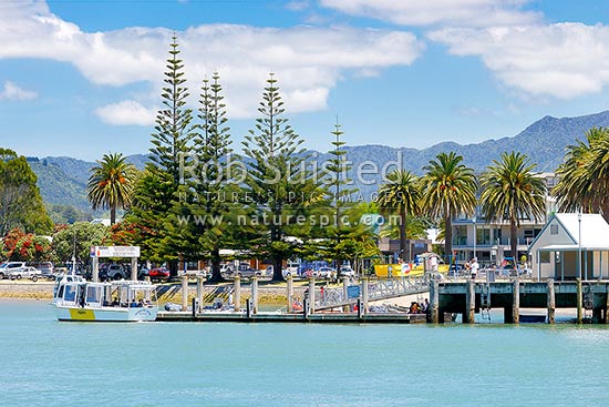 Whitianga foreshore with the ferry boat leaving the wharf on the Esplanade beside the Harbour entrance for Cooks Beach ferry landing, Whitianga, Coromandel Peninsula, Thames-Coromandel District, Waikato Region, New Zealand (NZ)