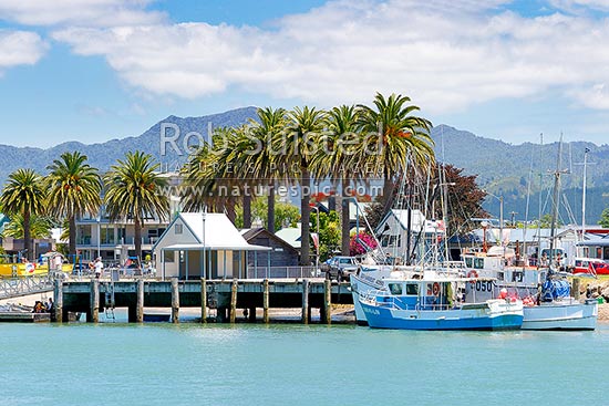 Whitianga foreshore with fishing boats alongside wharf on the Esplanade beside the Harbour entrance, Whitianga, Coromandel Peninsula, Thames-Coromandel District, Waikato Region, New Zealand (NZ)