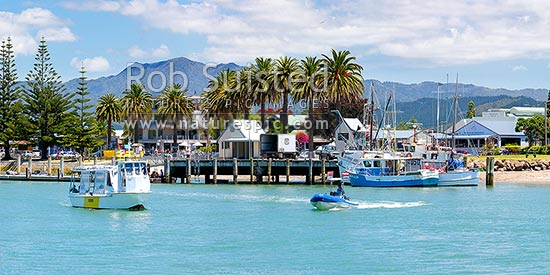 Whitianga town with the ferry crossing the Harbour entrance, with fishing boats alongside wharf on the Esplanade. Panorama, Whitianga, Coromandel Peninsula, Thames-Coromandel District, Waikato Region, New Zealand (NZ)