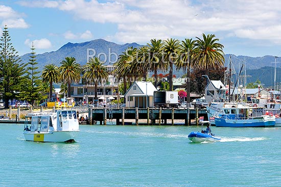 Whitianga town with the ferry crossing the Harbour entrance to the ferry landing, Whitianga, Coromandel Peninsula, Thames-Coromandel District, Waikato Region, New Zealand (NZ)