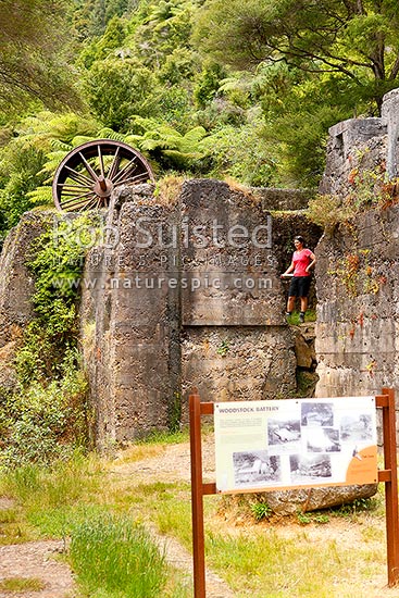 Historic Woodstock Battery ruins of the Woodstock gold mine in the Waitawheta Gorge goldfields, Waitawheta Windows Walk Track, Karangahake, Hauraki District, Waikato Region, New Zealand (NZ)