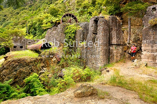 Historic Woodstock Battery ruins of the Woodstock gold mine in the Waitawheta Gorge goldfields, Waitawheta Windows Walk Track, Karangahake, Hauraki District, Waikato Region, New Zealand (NZ)