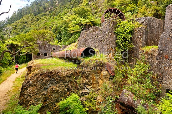 Historic Woodstock Battery ruins of the Woodstock gold mine in the Waitawheta Gorge goldfields, Waitawheta Windows Walk Track, Karangahake, Hauraki District, Waikato Region, New Zealand (NZ)