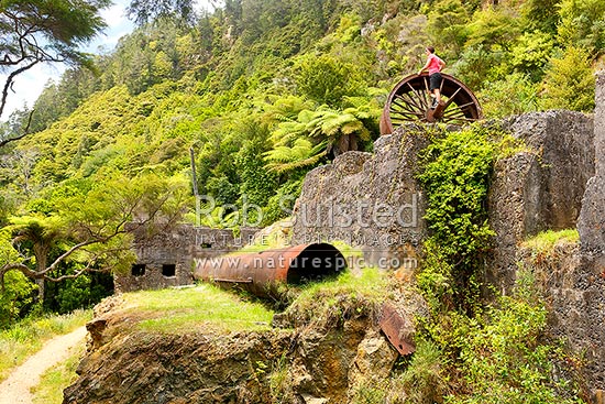 Historic Woodstock Battery ruins of the Woodstock gold mine in the Waitawheta Gorge goldfields, Waitawheta Windows Walk Track, Karangahake, Hauraki District, Waikato Region, New Zealand (NZ)