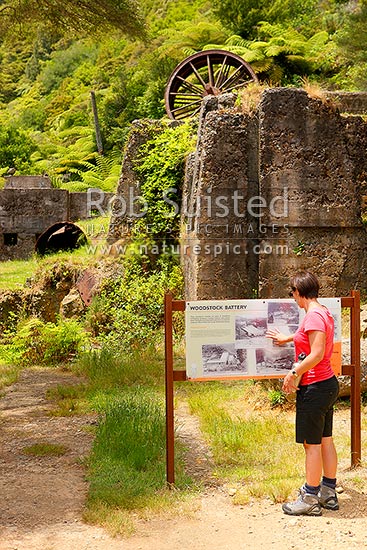 Historic Woodstock Battery ruins of the Woodstock gold mine in the Waitawheta Gorge, Waitawheta Windows Walk Track, Karangahake, Hauraki District, Waikato Region, New Zealand (NZ)