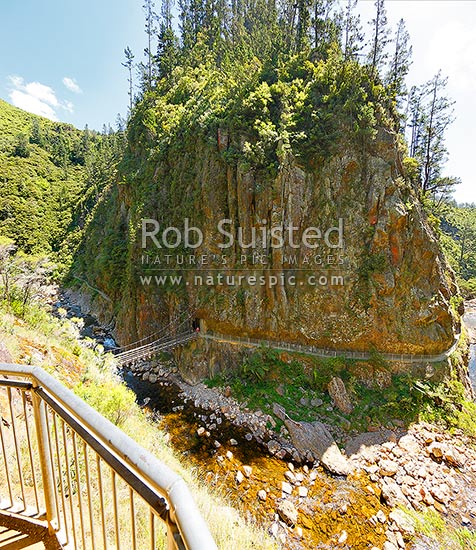 Mining Heritage and precipitous slopes of the lower Waitawheta River Gorge, site of the Woodstock and Talisman mines and batteries. Windows walk track. Square format, Karangahake, Hauraki District, Waikato Region, New Zealand (NZ)