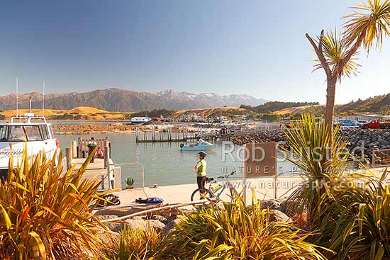 Kaikoura South Bay harbour and jetty. Seaward Kaikoura Ranges beyond, Kaikoura Ranges, Kaikoura District, Canterbury Region, New Zealand (NZ)