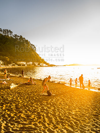 Days Bay Beach in golden late eveing sunset, with people and famiilies enjoying swimming and socialising, Days Bay, Hutt City District, Wellington Region, New Zealand (NZ)