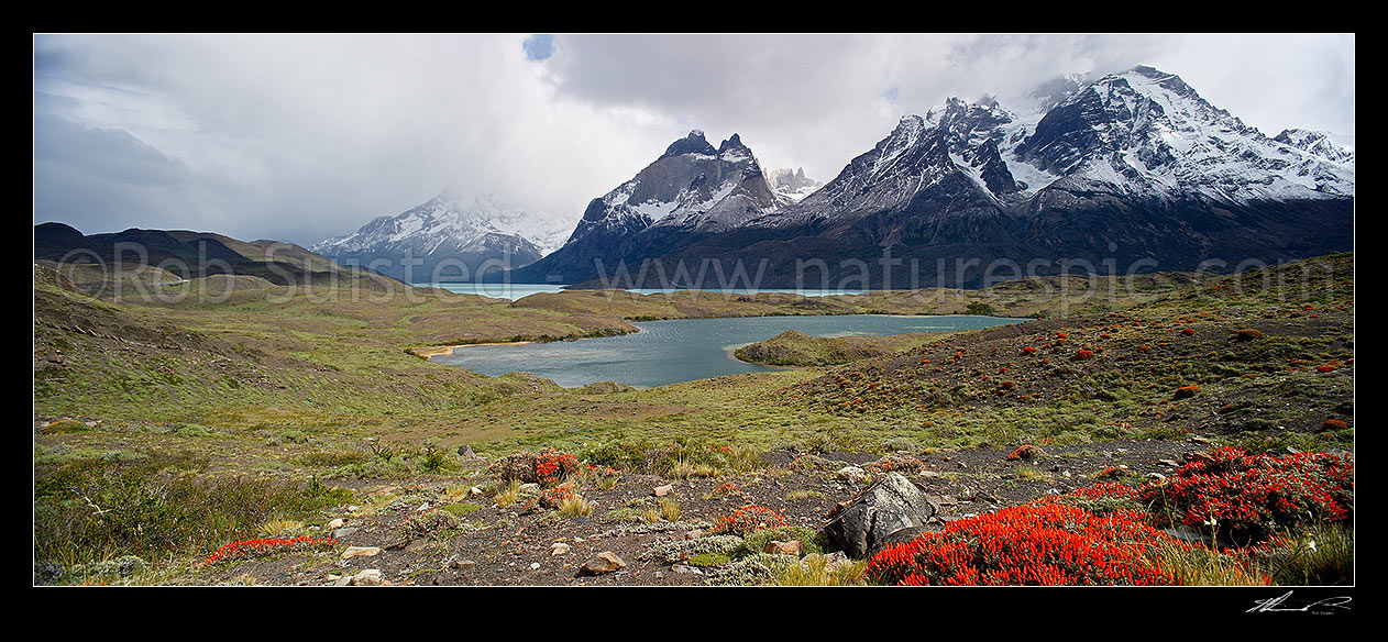 Image of The Cordillera del Paine in Torres del Paine National Park, with Nordenskjld Lake (Lago Nordenskjol). Chilean Patagonia. Panorama, Puerto Natales, Chile stock photo image